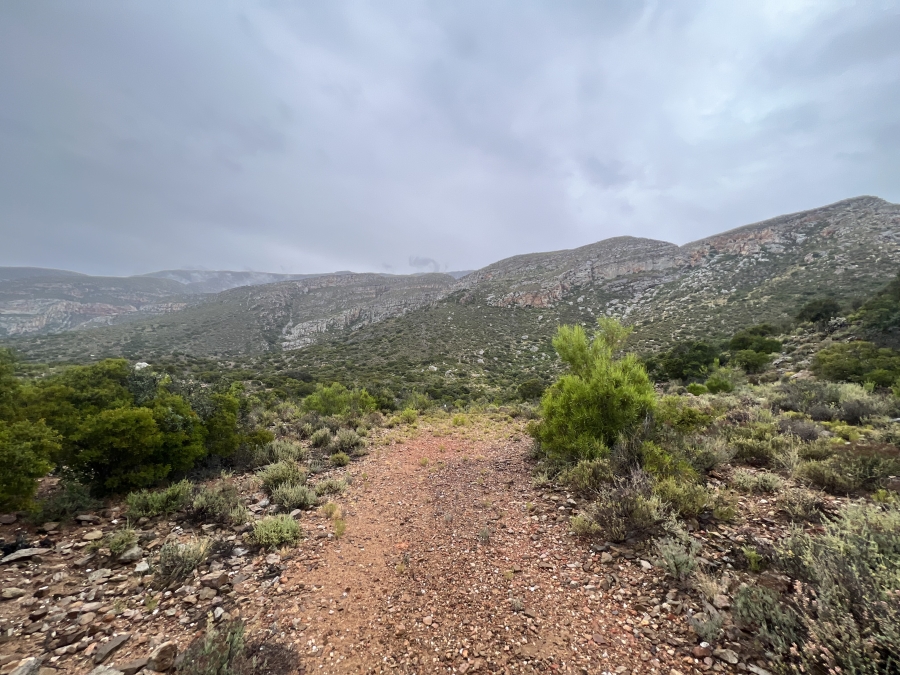 0 Bedroom Property for Sale in Ladismith Western Cape